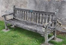 Як прибрати мох та лишайник зі своєї ділянки: прості способи