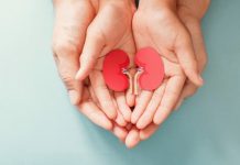 Ці кілька продуктів здатні підтримувати нирки у здоровому стані