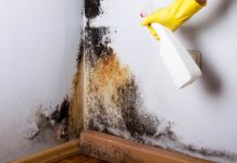 Як позбутися від цвілі в квартирі підручними засобами