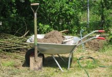 Як робота в саду допомагає зняти стрес