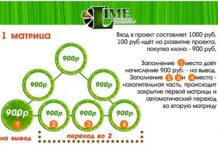 Lime Company: обзор