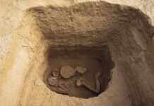 У Китаї знайшли череп Homo erectus віком в мільйон років