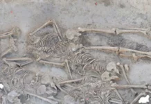 У Словаччині виявили безголові скелети у братській могилі віком 7000 років