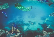 Бактерії можуть використовувати пластикові відходи як джерело їжі.