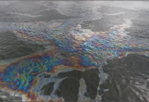 Море перетвориться на паливо