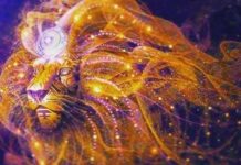 Гороскоп Лева на 2023 рік