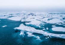 Літній арктичний лід вже не врятувати