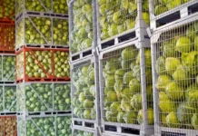 Зберігання овочів на складах – корисні поради від виробника складського обладнання