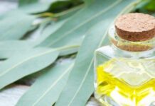 Масло евкаліпта допомагає запобігти розвитку карієсу
