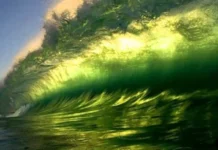 Nature: глобальне потепління призвело до зміни кольору океанів Землі, що впливає на життя в них