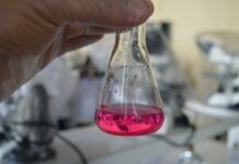 Вчені виявили 3 хімічних речовини, що звертають старіння назад