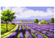 Как нарисовать картину с цветами новичку