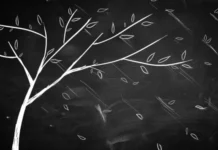 PNAS: вченими спростовано 500-літнє «правило дерев» Леонардо да Вінчі