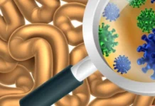 Створено пробіотик, який виявляє хвороби кишечника