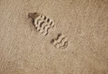 Слід черевика віком 100 000 років виявили в Південній Африці