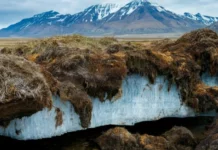 PNAS: більше 90% вічної мерзлоти зникне до 2100 року через глобальне потепління