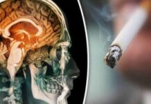 Вчені: хімія мозку і гени визначають тягу до нікотину