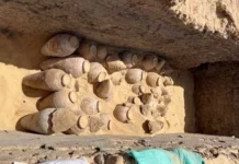 В Єгипті знайдені глечики з 5000-річним вином