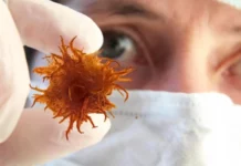 Nature: 3D-модель пухлини дозволяє швидше і дешевше лікувати рак