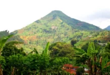 У джунглях Індонезії знайшли найдавнішу в світі піраміду