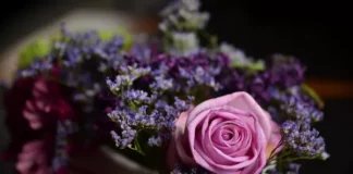 Цветы, Роза, Букет, Розовая Роза