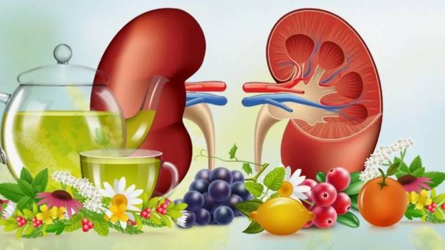 Причины заболевания почек