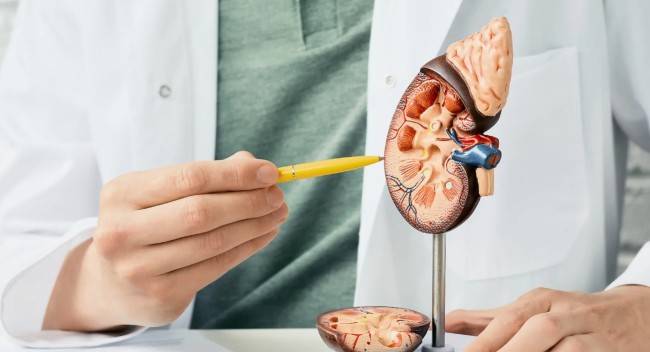 Причины заболевания почек