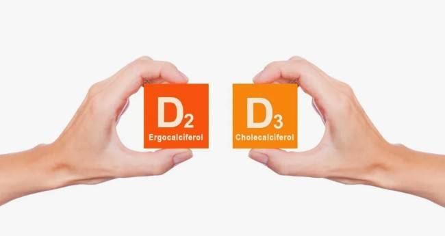 В чем разница между витаминами D2 и D3