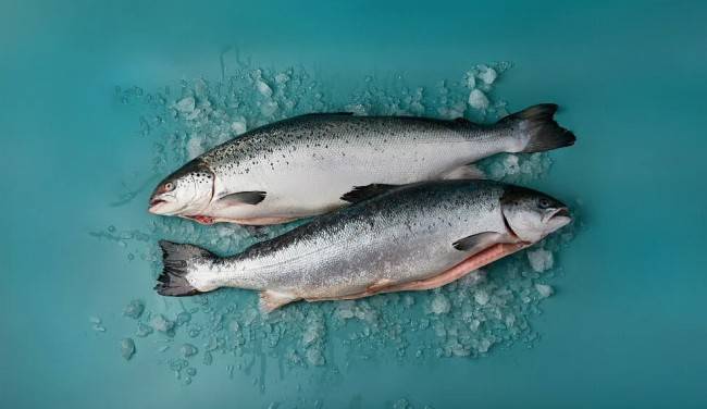 7 причин включить в рацион лосось