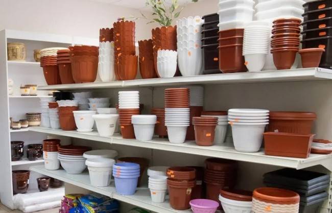 Как выбрать горшок для любого растения