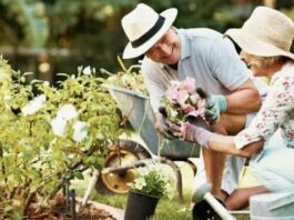 Садівництво – натуральне рішення від хвороби Альцгеймера