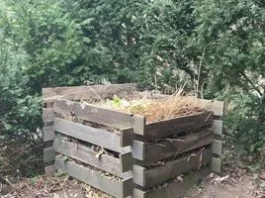 Правила “лінивого” городника: що можна кидати в компост