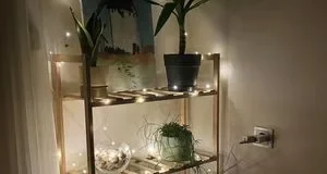 6 прихованих ознак, що ваш дім у порядку, навіть якщо він тимчасовий