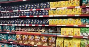 Як обирати корм для собак за віком: поради для власників