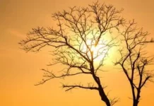 Вчені переглянули сценарії зміни клімату: нові реалії