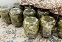 Бланшовані в оцті огірки на зиму: простий і незвичний спосіб консервації Бланшовані в оцті огірки на зиму: простий і незвичний спосіб консервації