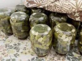 Бланшовані в оцті огірки на зиму: простий і незвичний спосіб консервації