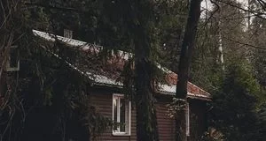 Чому наші предки не садили великі дерева впритул до хати