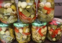 Овочеве асорті з печерицями на зиму: хрусткий салат з огірками та перцем