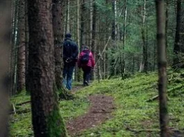Чому в лісі важливо йти не поруч, а на відстані 3–4 метрів