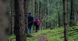 Чому в лісі важливо йти не поруч, а на відстані 3–4 метрів Чому в лісі важливо йти не поруч, а на відстані 3–4 метрів