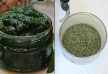 Як заготовити м’яту на зиму: паста, м’ятний цукор і заморожування