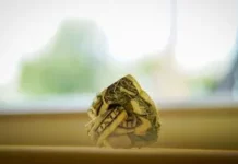 Пророчі слова для тих, хто звик до кредитів і швидких витрат Пророчі слова для тих, хто звик до кредитів і швидких витрат
