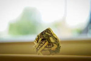 image Пророчі слова для тих, хто звик до кредитів і швидких витрат