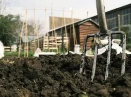 Підзимній та озимий посів: як і що сіяти восени без втрати врожаю Підзимній та озимий посів: як і що сіяти восени без втрати врожаю