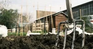 Підзимній та озимий посів: як і що сіяти восени без втрати врожаю