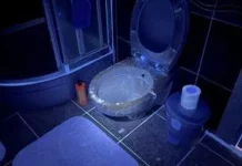5 корисних способів використання ультрафіолетового ліхтарика вдома і в поїздках 5 корисних способів використання ультрафіолетового ліхтарика вдома і в поїздках