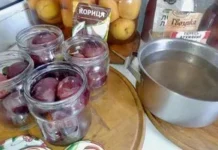 Мариновані сливи з прянощами до м’ясних страв: проста заготівля на зиму