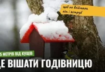 Як повісити пташину годівницю, щоб вона не стала пасткою для пернатих