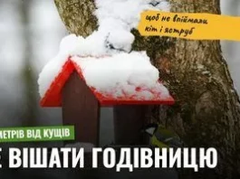 Як повісити пташину годівницю, щоб вона не стала пасткою для пернатих